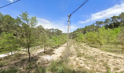 Willmann, Cabinet Infirmier à Carnoules