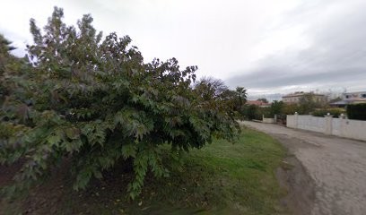 Cabinet Infirmier Lattes Clerc-Gibert, Cabinet Infirmier à Lattes